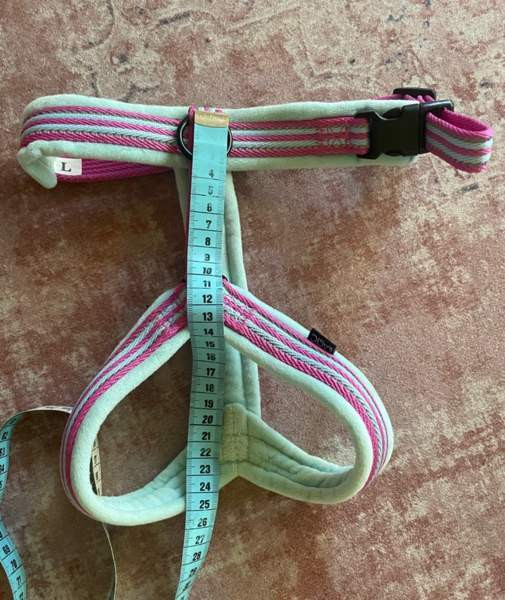 Koiran Y-valjaat Helsinki - valokuva 4