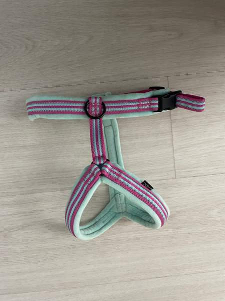 Koiran Y-valjaat Helsinki - valokuva 1