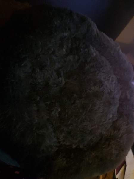 Koiran peti xxl UUSI, pörröpeti Pori - valokuva 1