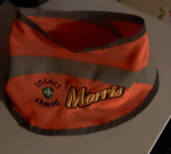 Heijastinhuivi Insect shield Turku - valokuva 1