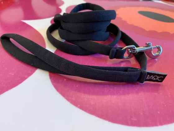 Koiranpennun talutin Basic Sweet Masku