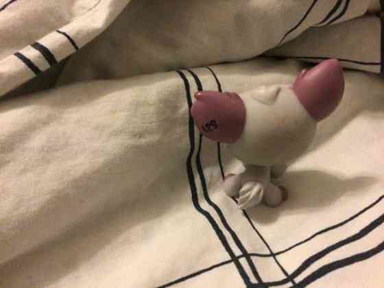 Aito LPS koira vuosimallia 2007 Vantaa