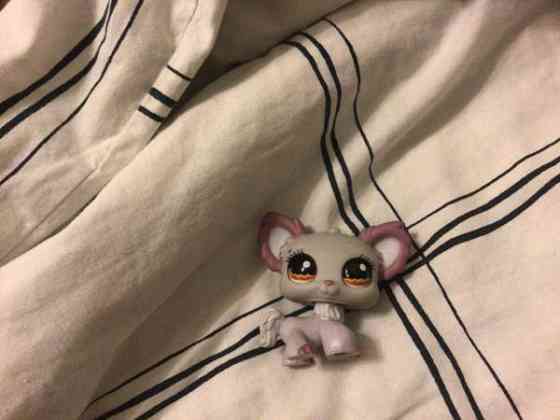 Aito LPS koira vuosimallia 2007 Vantaa