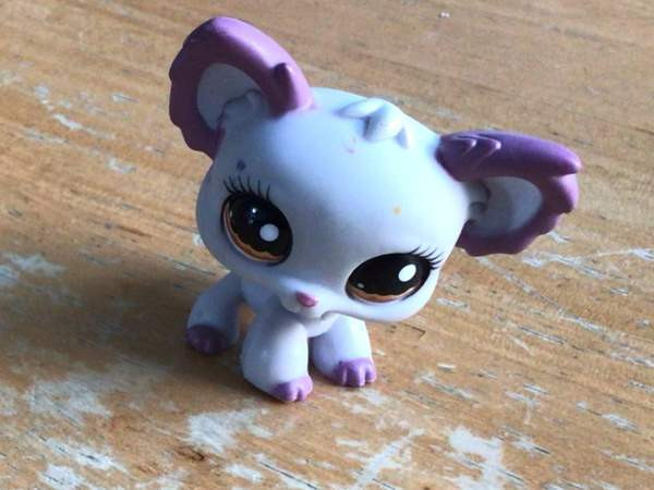 Aito LPS koira vuosimallia 2007 Vantaa – foto 1