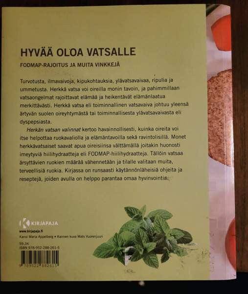 Herkän vatsan valinnat- Suolisto kuntoon ruokavaliolla Ilomantsi - изображение 2