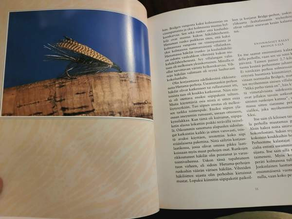 Elämäni perhot Ilomantsi - изображение 4