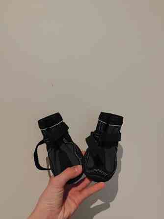 Koiran kengät Эспоо