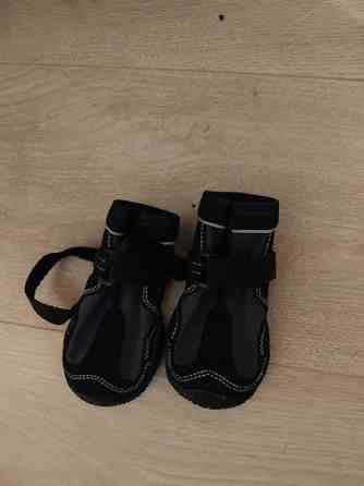 Koiran kengät Эспоо