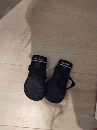 Koiran kengät Эспоо