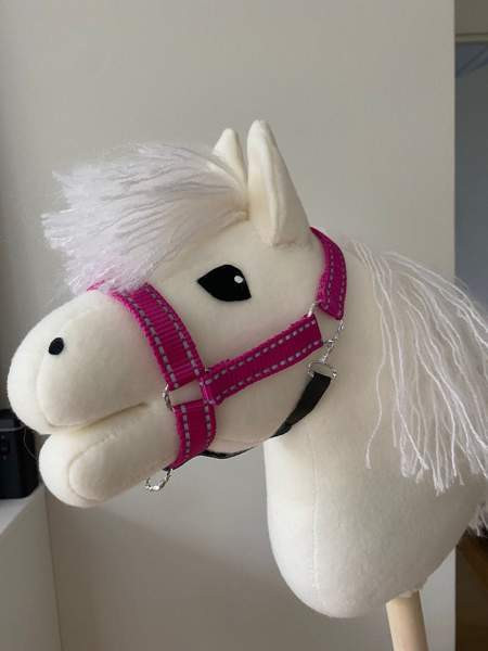 Keppihevonen Kaarina – foto 1