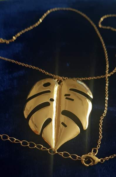 Peikonlehti koru Vantaa – foto 2