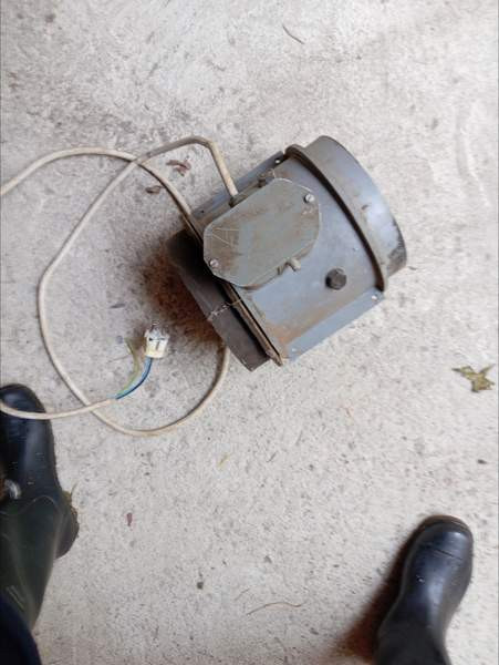 Imuri/ puhallin Tuusula - valokuva 4