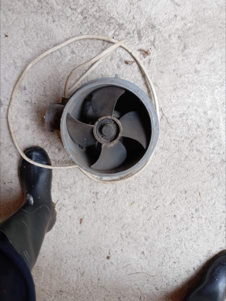 Imuri/ puhallin Tuusula - valokuva 1