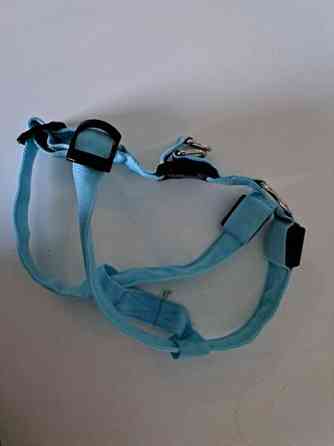 Koiran valjaat led valoilla Тампере