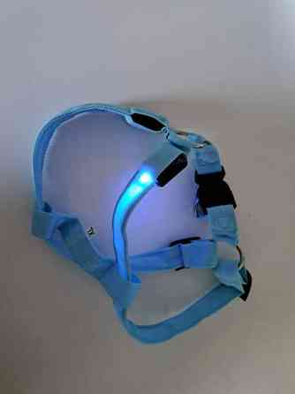 Koiran valjaat led valoilla Тампере