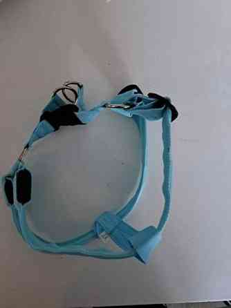 Koiran valjaat led valoilla Тампере