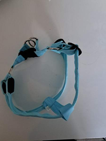 Koiran valjaat led valoilla Tampere - valokuva 1