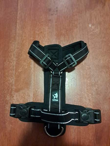 Fleksi ja valjaat Kuopio - valokuva 1