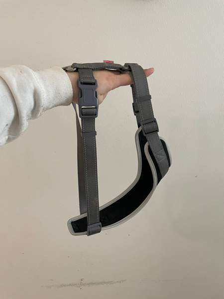 Best Friend valjaat Seinaejoki – foto 3