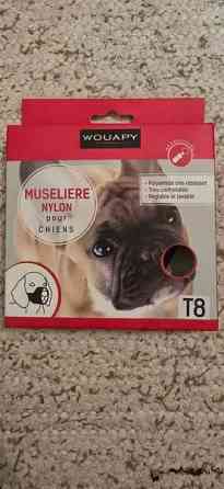 Kangas kuonokoppa Kangasniemi