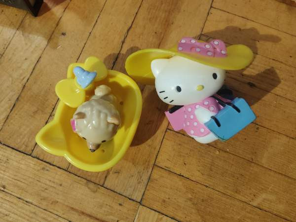 Hello kitty ja koira pesulla Lappeenranta - valokuva 1