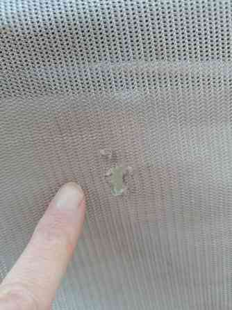 Horseware Mio hyönteisloimi 140cm Oulu