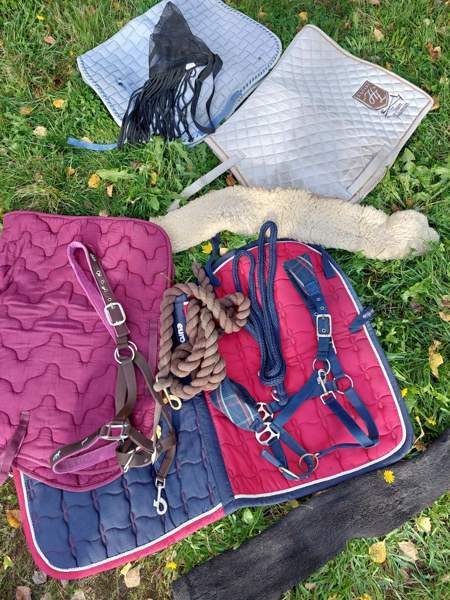 Ötökkähapsu, riimunnaru Orivesi - photo 1