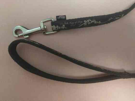 panta ja talutin Vantaa