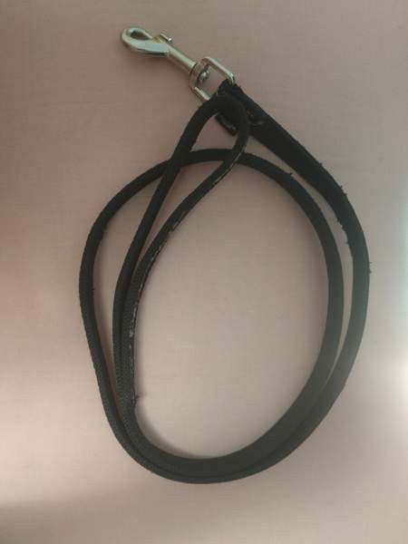 panta ja talutin Vantaa – foto 5