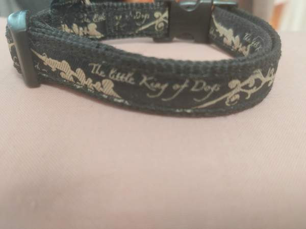 panta ja talutin Vantaa – foto 3