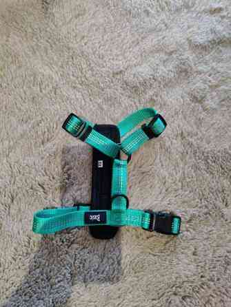 Basic First Y-valjas Turku