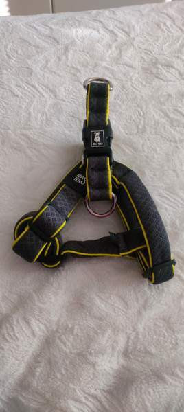 Hau hau pehmustetut valjaat/koko S Kuopio - valokuva 1