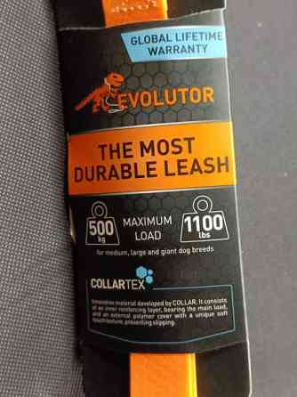 Koiran talutin Collar evolutor 210cm Eura