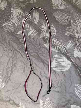 Kissan talutushihna Seinaejoki