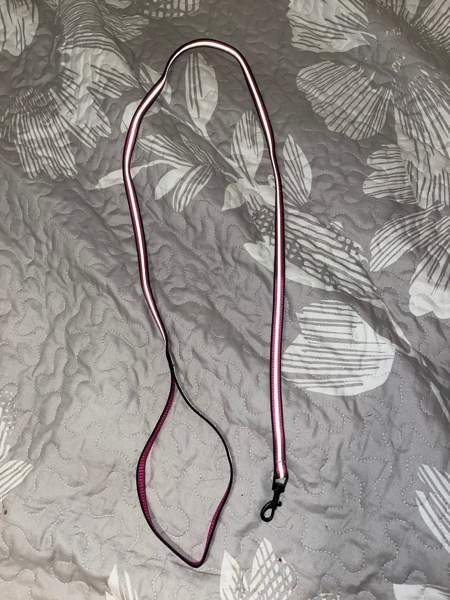 Kissan talutushihna Сейняйоки - изображение 1