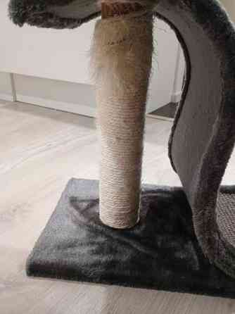 Matala kissan raapimapuu Little&Bigger Lepus Kokkola