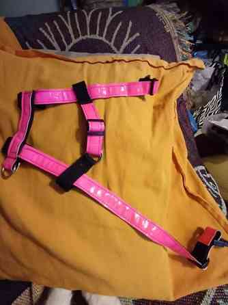 Kissan valjaat Tuusula