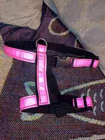 Kissan valjaat Tuusula