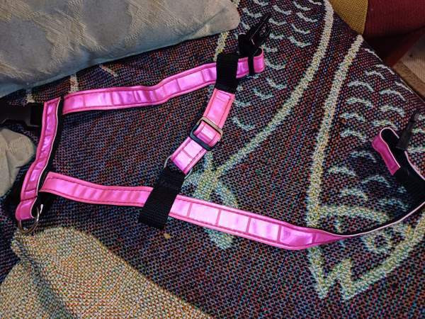 Kissan valjaat Tuusula - valokuva 2