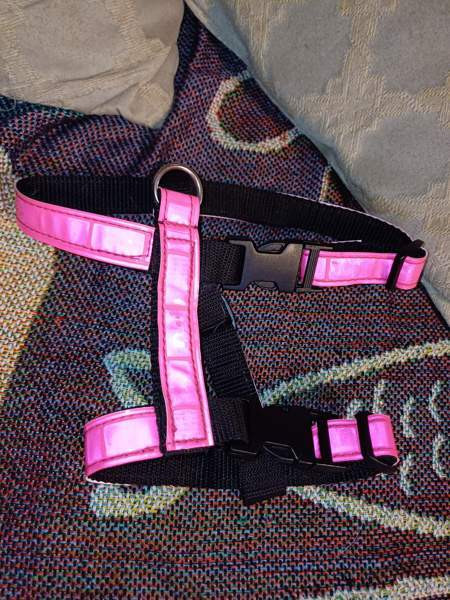 Kissan valjaat Tuusula - valokuva 1