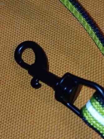 Kissan talutushihna Tuusula