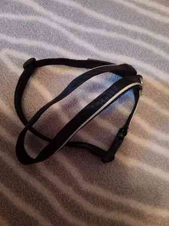 Kissan tarvikkeita Joensuu