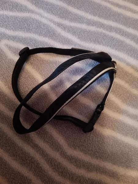 Kissan tarvikkeita Joensuu – foto 6