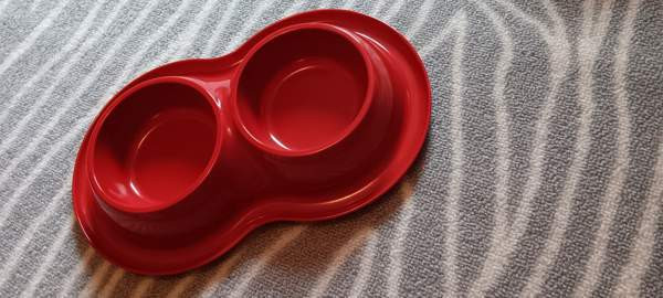 Kissan tarvikkeita Joensuu – foto 4