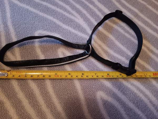 Kissan tarvikkeita Joensuu – foto 7