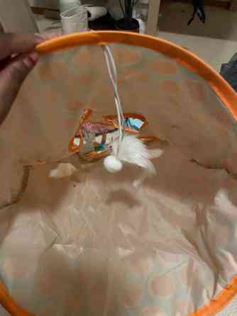 Uusi kissa tarvikkeet Vantaa