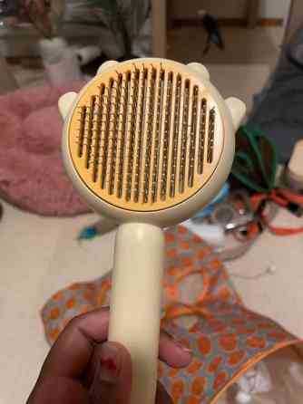 Uusi kissa tarvikkeet Vantaa