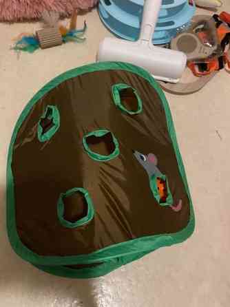 Uusi kissa tarvikkeet Vantaa