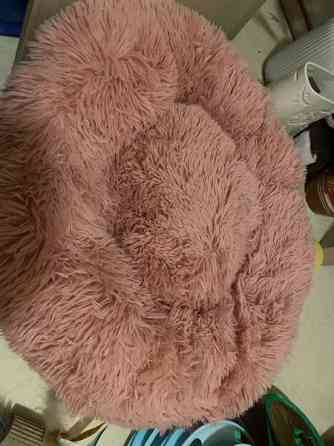 Uusi kissa tarvikkeet Vantaa