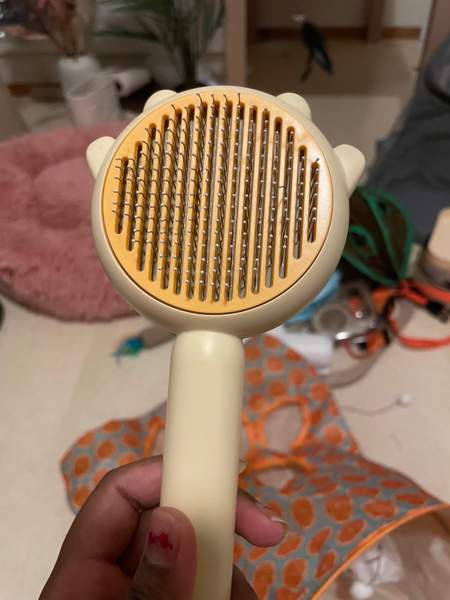 Uusi kissa tarvikkeet Vantaa - valokuva 3